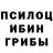 Галлюциногенные грибы Magic Shrooms ._.