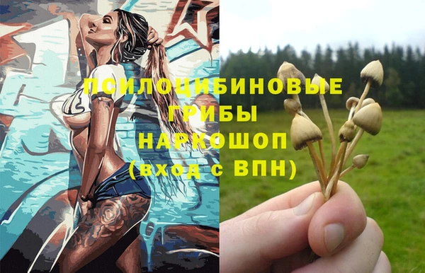 ПСИЛОЦИБИНОВЫЕ ГРИБЫ Бугульма