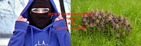 а пвп мука Богородицк