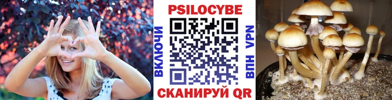 Галлюциногенные грибы Psilocybine cubensis  продажа наркотиков  Верхняя Пышма 