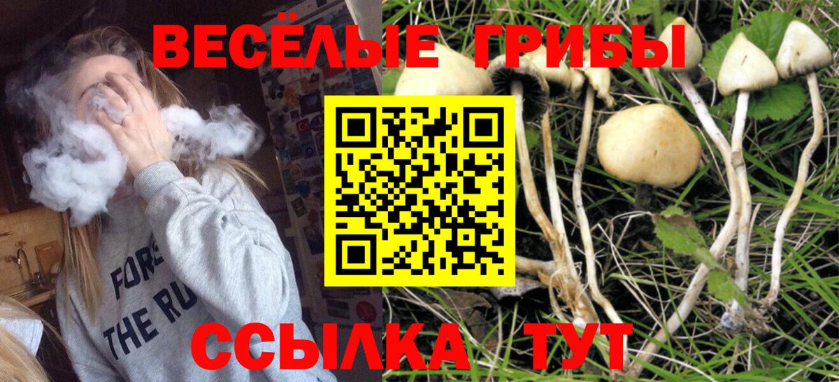 где найти   Вход с VPN  Верхняя Пышма  Галлюциногенные грибы Psilocybine cubensis  Галлюциногенные грибы ЛСД 