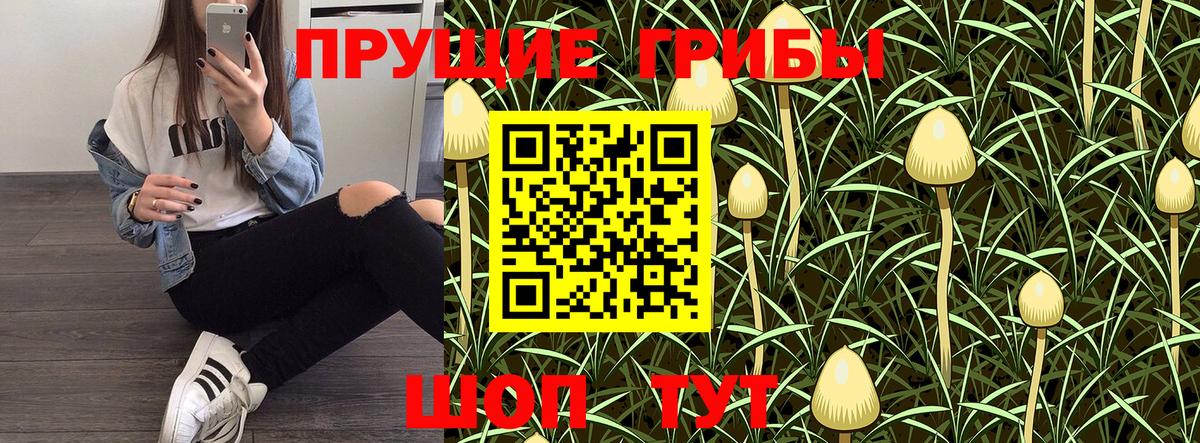 Галлюциногенные грибы Psilocybe Верхняя Пышма