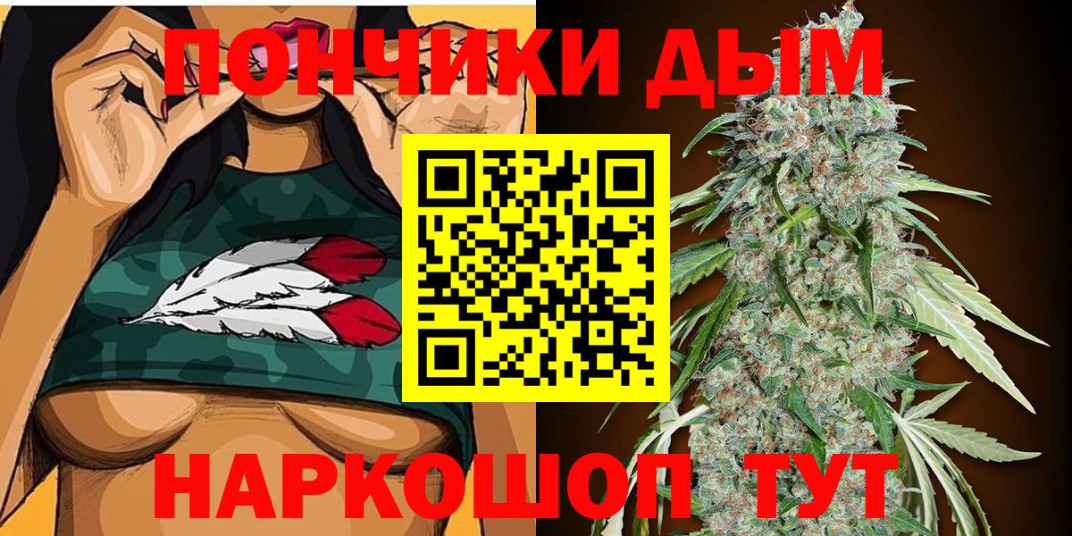 Бошки Шишки семена Верхняя Пышма